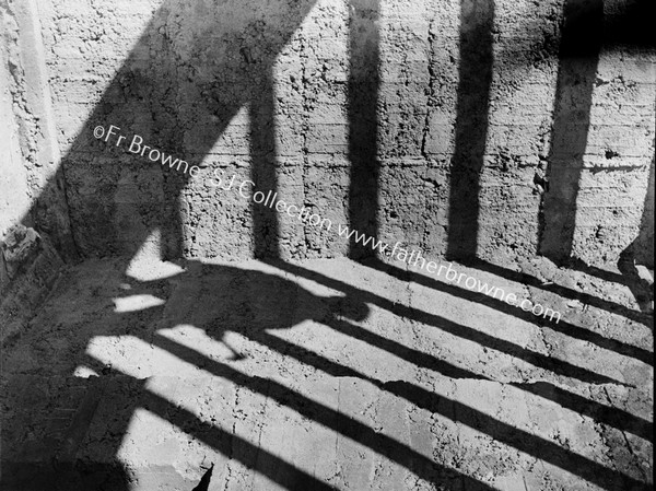 SHADOW OF A WORKMAN